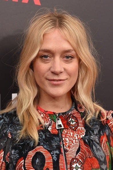 chloe sauvigny|chloë sevigny personal life.